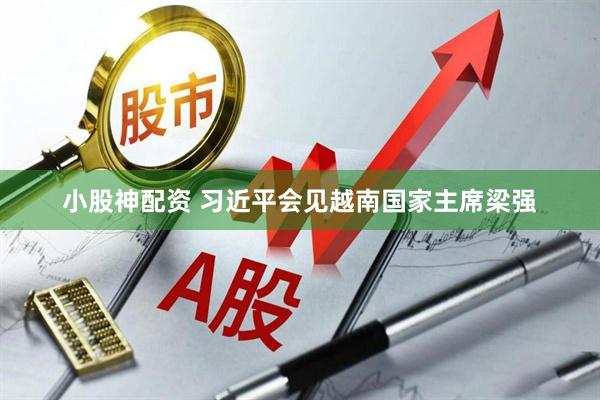 小股神配资 习近平会见越南国家主席梁强
