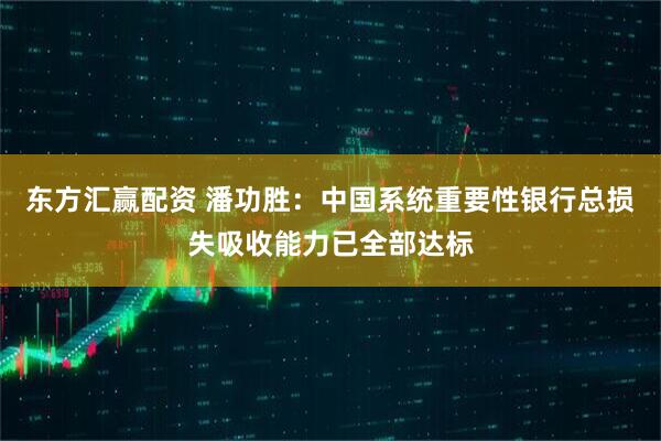 东方汇赢配资 潘功胜：中国系统重要性银行总损失吸收能力已全部达标